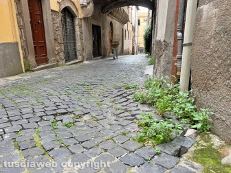 Il degrado di via Mazzini