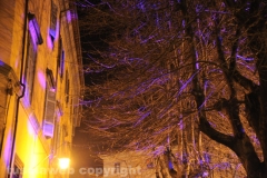 Viterbo - Il festival delle luci
