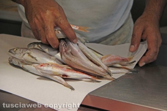 Il fishmarket del Riello