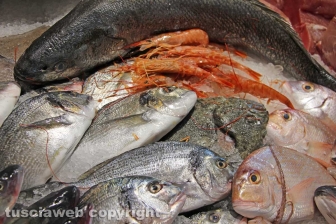 Il fishmarket del Riello