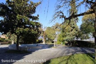 Il fronte contro il Coronavirus - Proceno