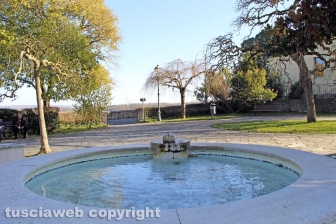 Il fronte contro il Coronavirus - Proceno