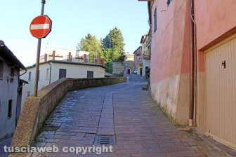 Il fronte contro il Coronavirus - Proceno