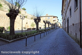 Il fronte contro il Coronavirus - Acquapendente
