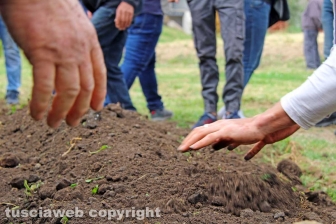 Il funerale di Ammar