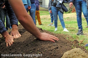 Il funerale di Ammar