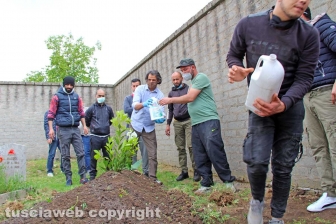 Il funerale di Ammar