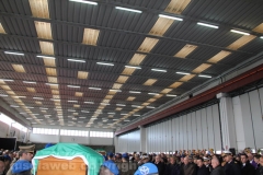 Viterbo - Il funerale di Lozzi e Calligaris