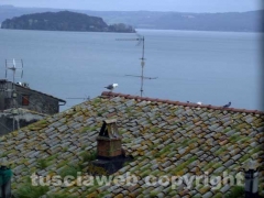 Il gabbiano infelice