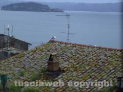 Il gabbiano infelice