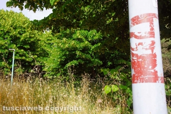 Il giardino della lettura