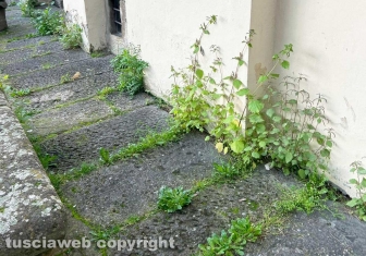 WhatsApp-Image-2026-03-08-at-17.29.47-19