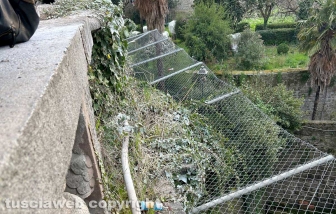 Viterbo - Il giardino di palazzo dei Priori nell'abbandono