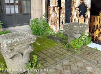 Viterbo - Il giardino di palazzo dei Priori nell'abbandono