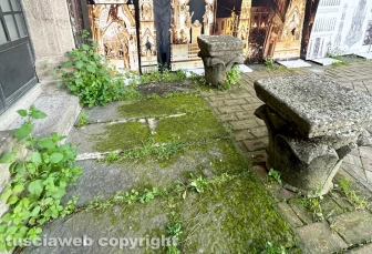 Viterbo - Il giardino di palazzo dei Priori nell'abbandono