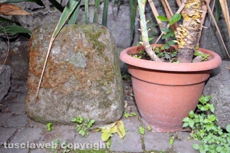 Il giardino e i sotterranei del Paradosso