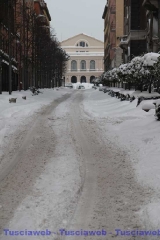 Viterbo - Claudia Celli