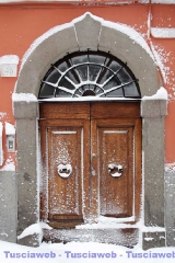 Viterbo - Claudia Celli