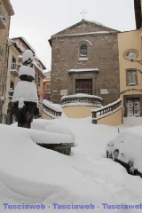 Viterbo - Claudia Celli
