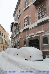 Viterbo - Claudia Celli