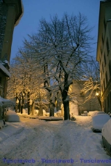 Viterbo - Claudia Celli