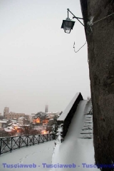 Viterbo - Claudia Celli
