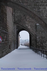 Viterbo - Claudia Celli