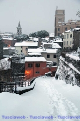 Viterbo - Claudia Celli