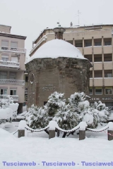 Viterbo - Claudia Celli