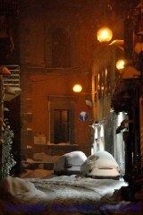 Viterbo - Franco Scomparin