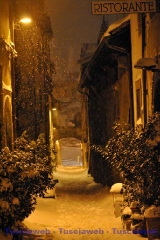 Viterbo - Franco Scomparin
