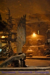 Viterbo - Franco Scomparin