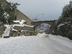 Viterbo - Silvia Tomassini