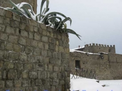 Viterbo - Silvia Tomassini