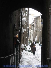 Viterbo - Silvia Tomassini