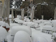 Viterbo - Silvia Tomassini
