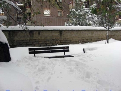 Viterbo - Silvia Tomassini
