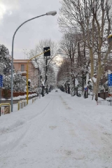 Viterbo - Alessandro
