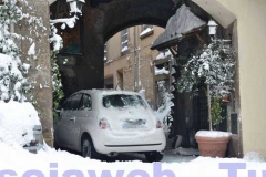 Viterbo - Alessandro