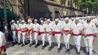 Viterbo - Il giro delle sette chiese dei facchini di santa Rosa