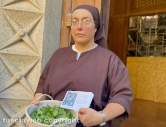Viterbo - Il giro delle sette chiese dei facchini di santa Rosa - Le foglie con la spina