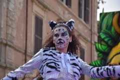 Il gruppo delle tigri torna a sfilare