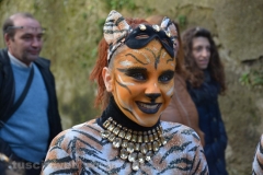 Il gruppo delle tigri torna a sfilare