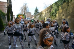 Il gruppo delle tigri torna a sfilare