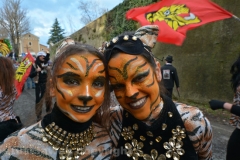 Il gruppo delle tigri torna a sfilare