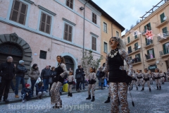 Il gruppo delle tigri torna a sfilare
