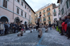 Il gruppo delle tigri torna a sfilare