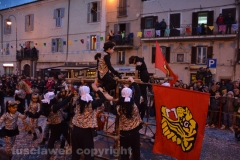 Il gruppo delle tigri torna a sfilare