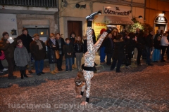 Il gruppo delle tigri torna a sfilare