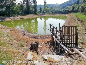 Bomarzo - Uomo trovato morto in un laghetto